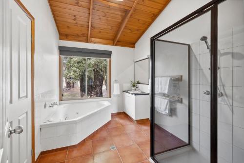 霍尔斯加普Mountain Hideaway by Halls Gap Accommodation的浴室里有浴缸和窗户