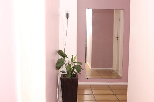 a plant in a vase in front of a mirror at Casa no Jardim Renascença- Bird House Renascença in São Luís