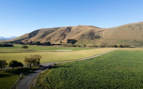 a road in a field with a mountain in the background at Tussock Views by Tiny Away in Burkes Pass