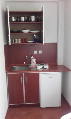 Η κουζίνα ή μικρή κουζίνα στο Stupar Apartmani