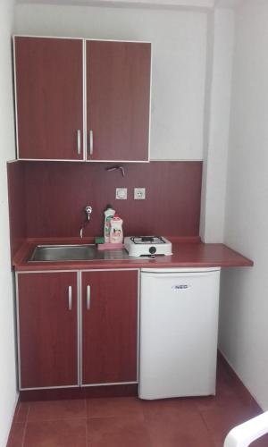 Η κουζίνα ή μικρή κουζίνα στο Stupar Apartmani