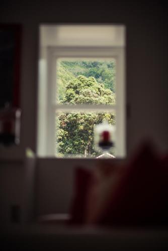 an open window with a view of a forest at Vigia da Areia in São Lourenço