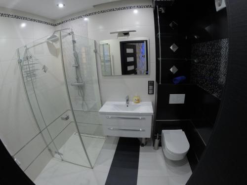ギジツコにあるYacht Apartamentのバスルーム(シャワー、洗面台、トイレ付)