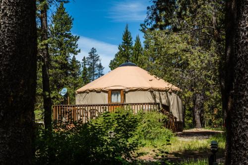 a yurt in the middle of a forest at Bend-Sunriver Camping Resort 24 ft. Yurt 12 in Sunriver