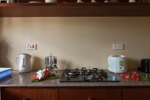 a kitchen counter with a stove and a blender at Le Relax Self Catering Apartment in La Digue