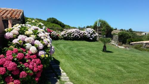 a garden with pink and purple flowers in a yard at La Chintana in Palmadula