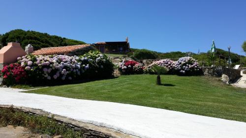 a garden with pink and purple flowers and a house at La Chintana in Palmadula