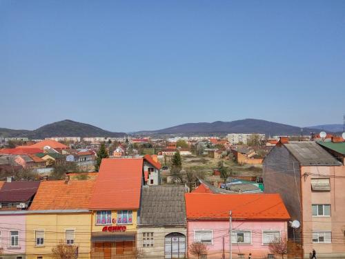grupa budynków z pomarańczowymi dachami w mieście w obiekcie Best Apartment in the Center w mieście Mukaczewo