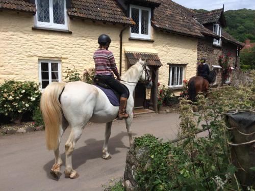 Horseback riding at the bed & breakfast or nearby 