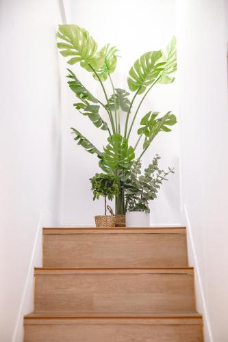 a wooden staircase with two plants on it at Sillim Queen House in Seoul