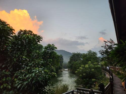 a river in the middle of a jungle with trees at Jasmine Retreat 