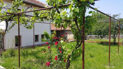 a garden in front of a house with red roses at Vedra Guest House in Ganchovets
