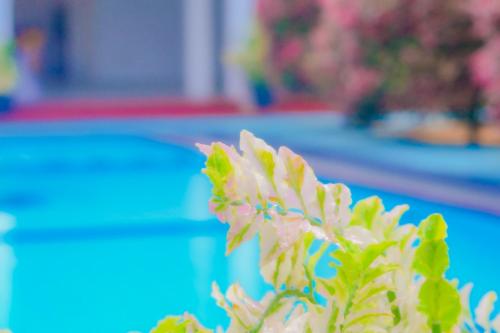 a close up of a plant with pink flowers at Hotel Water Nest in Etagama