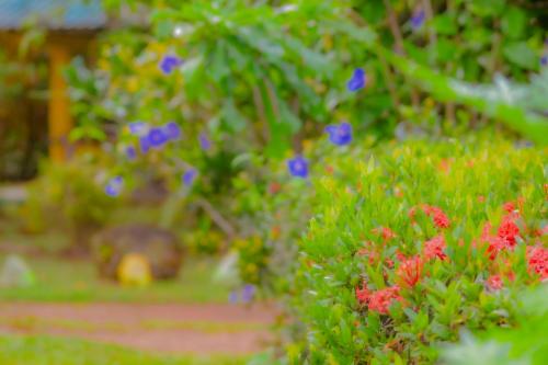 a garden with purple flowers and green plants at Hotel Water Nest in Etagama