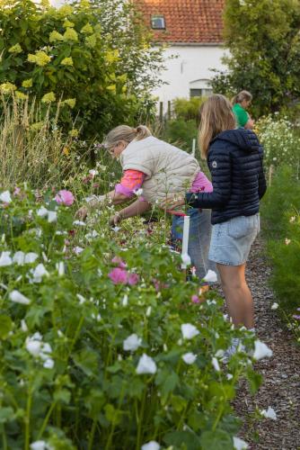 two children standing in a garden with flowers at Zee-van-Tijd in Oudenburg