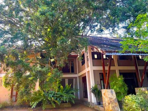 a house with a tree in front of it at Vanaro Resort in Yala