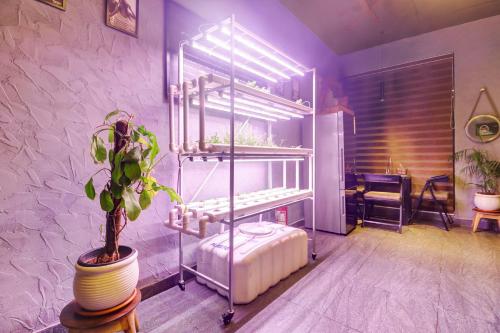 Gallery image of Townhouse OAK De Alphabet Hotel Bolarum in Hyderabad