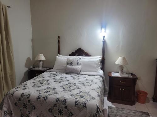 a bedroom with a bed and two night stands with lamps at Queen Room in Kingston in Kingston