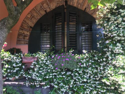 a garden of flowers in front of a building at Iseo Lake Home Nature & Relax in Iseo