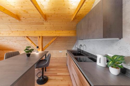 a kitchen with wooden ceilings and a wooden counter top at The Barn Košnik in Kranj
