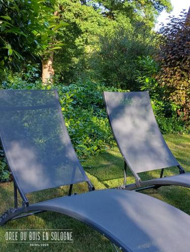 two chairs sitting in the grass in a yard at Chambres entre Romorantin-Chambord-Zoo de Beauval - Orée du Bois en Sologne in Lassay-sur-Croisne