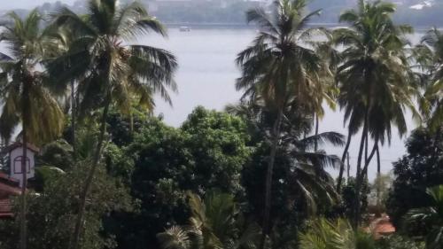 a view of the water from a resort with palm trees at Ocean Shores Hospitality in Candolim