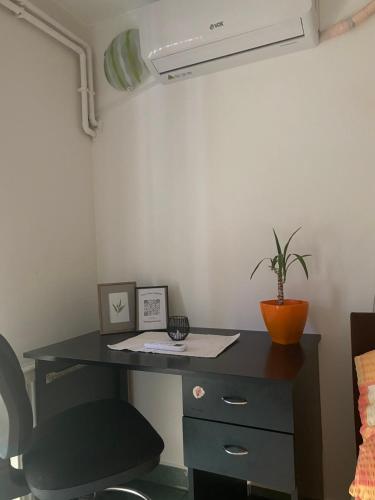 Fotografie z fotogalerie ubytování Cozy Corner Zrenjanin v destinaci Zrenjanin
