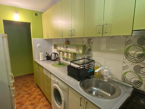 a kitchen with green cabinets and a sink at Cozy Corner Zrenjanin in Zrenjanin