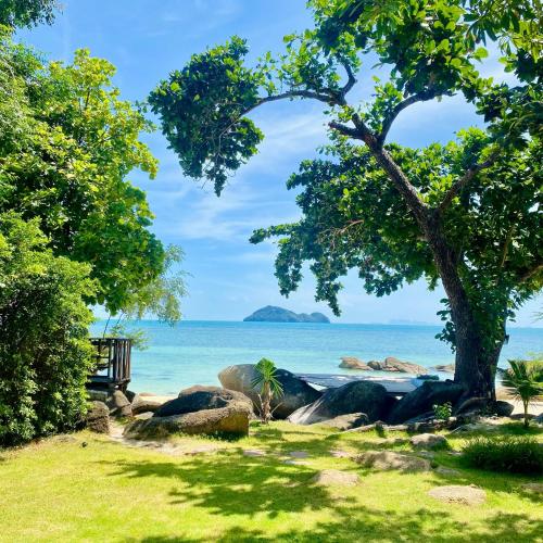 a beach with a tree and the ocean at Siam Cookies Cottage in Haad Pleayleam