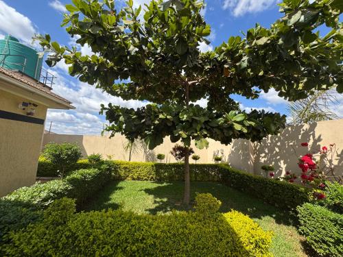 Gallery image of Zachepa Family House in Lilongwe