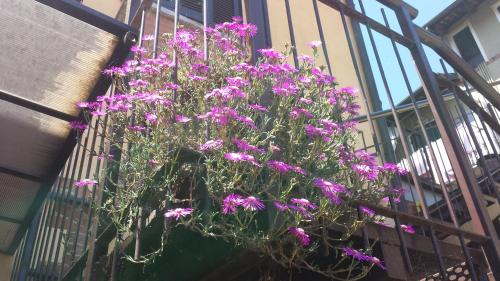 Fotografie z fotogalerie ubytování Hotel Ciocca v destinaci Castelnuovo Don Bosco