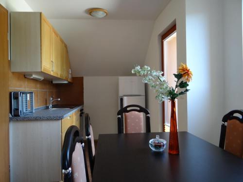 Η κουζίνα ή μικρή κουζίνα στο Apartments Trebušak