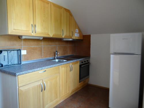 Η κουζίνα ή μικρή κουζίνα στο Apartments Trebušak
