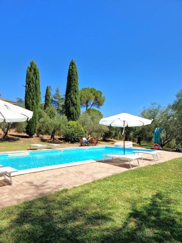 a swimming pool with two umbrellas in a yard at Borgo Melograno in Chiusi