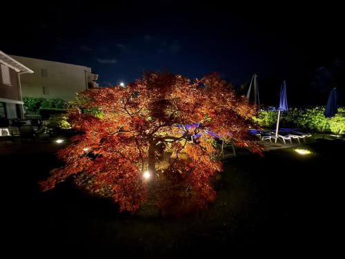a large tree with lights on it at night at Hotel Bolero in Sirmione