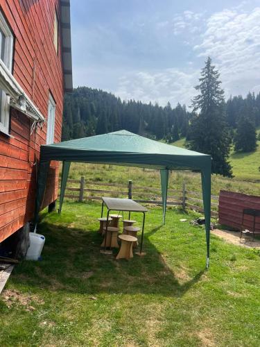 a green tent with tables and benches in a field at La Popicǎ in Beiuş