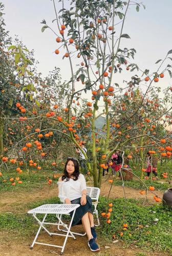 a woman sitting on a chair in front of an orange tree at Poong's Garden Mộc Châu in Mộc Châu