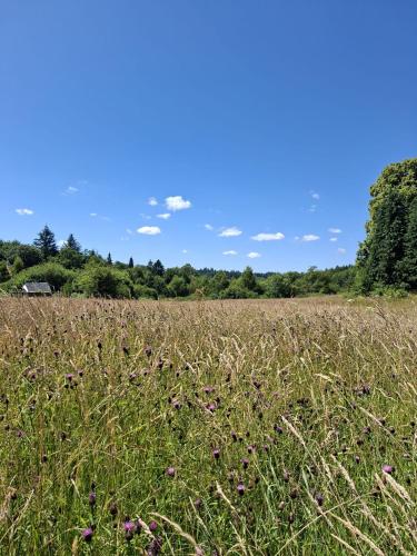 Φωτογραφία από το άλμπουμ του Natuurcamping Guillerin σε Sornac
