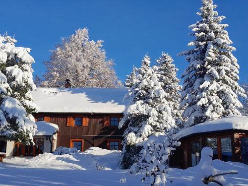 a house covered in snow with snow covered trees at Guest House Sněžník in Sněžnik