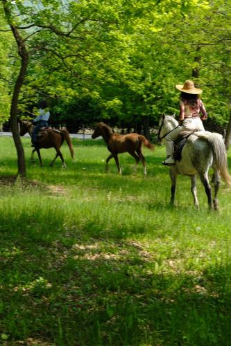 a man riding a horse in a field with two horses at Nekresi Estate in Kvareli