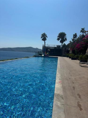 a swimming pool next to a body of water at Swissôtel Living Bodrum in Bodrum City