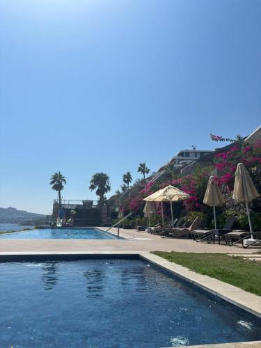 a swimming pool with chairs and umbrellas next to the water at Swissôtel Living Bodrum in Bodrum City