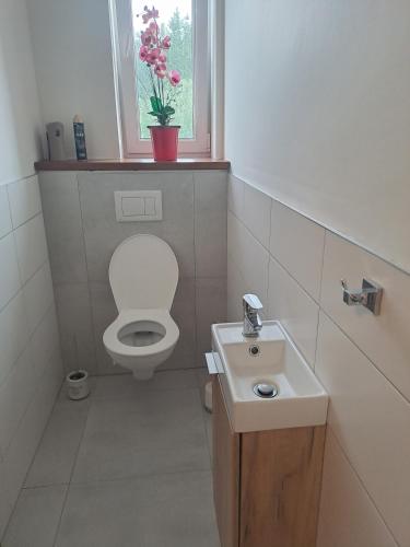 a bathroom with a toilet and a sink and a window at H apartment in Jankov