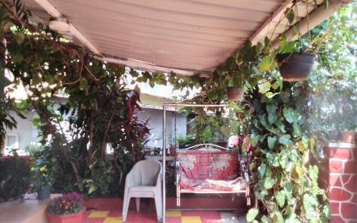 a patio with a bunch of plants and a chair at Om Datta Krupa Niwas Cottage in Mahabaleshwar