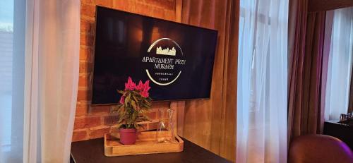 a wall with a picture of a shark projected on it at Apartament Przy Murach in Toruń