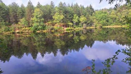 a reflection of trees in the water of a lake at Bienvenue chez nous in Cardaillac