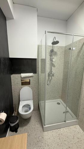 Bilik mandi di Cozy Studios Barlad