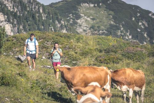 a couple of people walking down a hill with cows at Gaspingers Bergjuwel in Gerlos