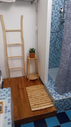 Cette chambre dispose d'une douche, d'une table et d'une plante. dans l'établissement Maison avec jardin clos, vue sur mer depuis falaise, à Dieppe