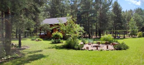 a garden with a bench and a picnic table at Domek pod Sosnami z posesją na wyłączność Mazury Prażmowo in Prażmowo